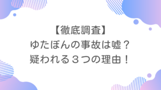 【徹底調査】ゆたぼんの事故は嘘？疑われる３つの理由！